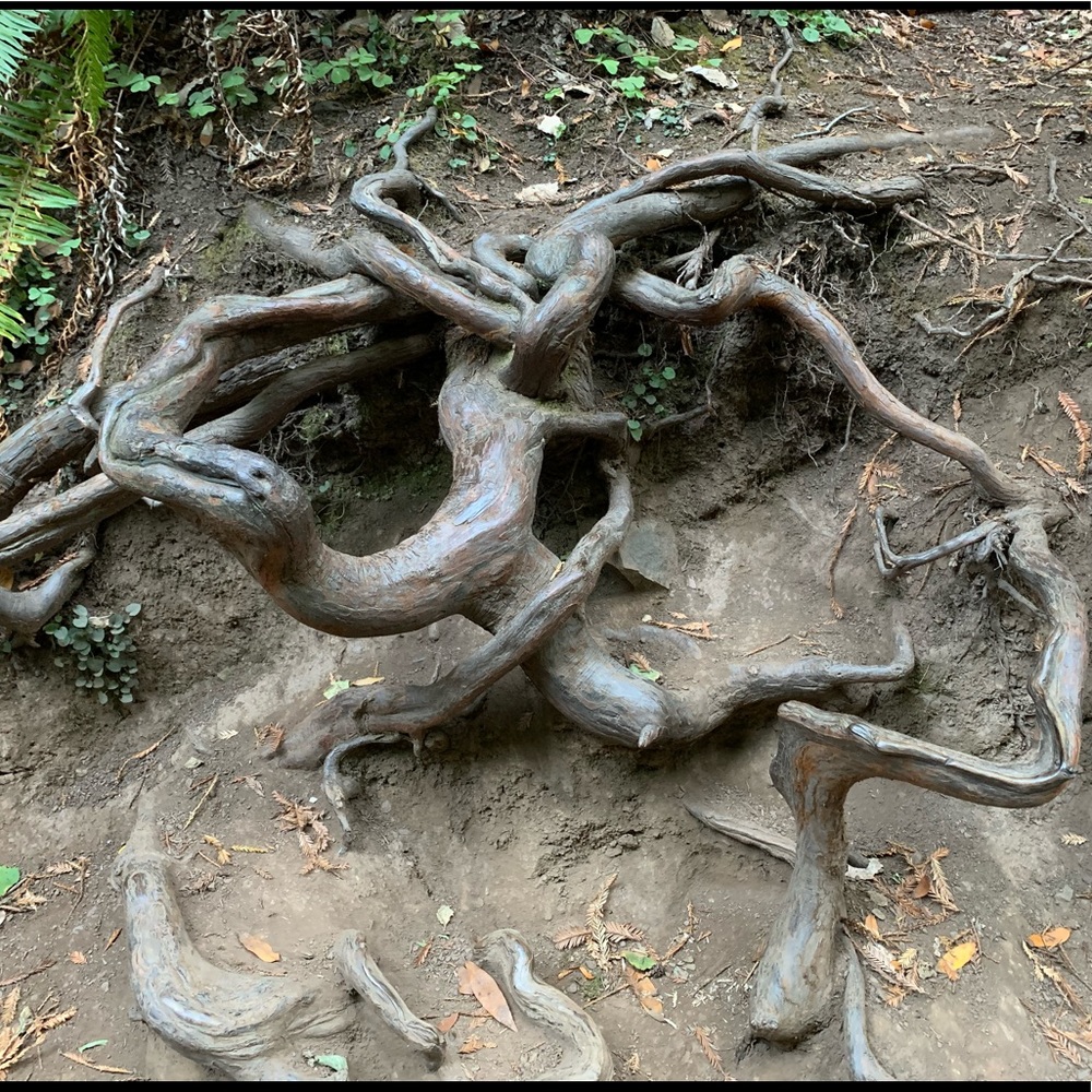 Meet your Posher, Becs